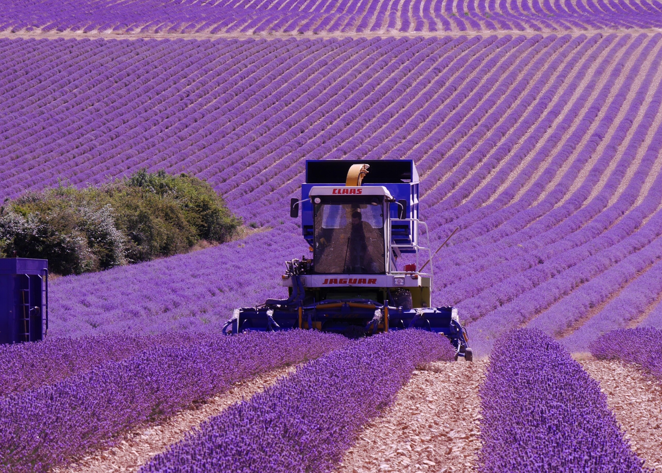 machinisme – récolte – désherbage mécanique