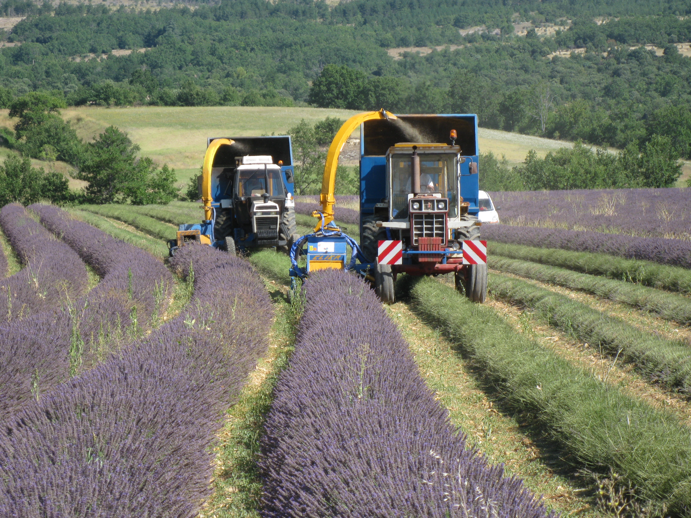 espieur – économie – énergie - récolte