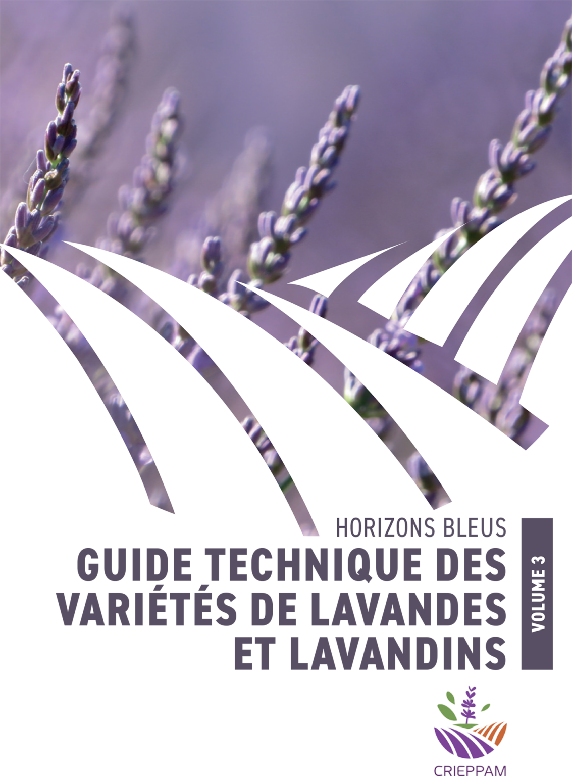 GUIDE-TECHNIQUE-VARIETES-LAVANDE-LAVANDIN-1