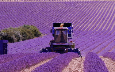 machinisme – récolte – désherbage mécanique