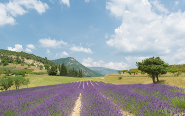 Copie de Copie de Sans titre (Montage photo) (8)