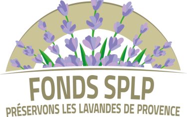Fonds de dotation pour la sauvegarde du patrimoine lavandes en Provence