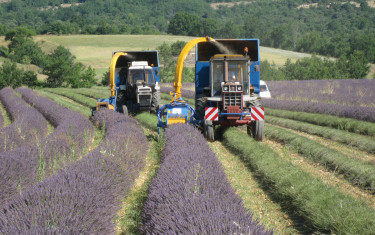 espieur – économie – énergie - récolte