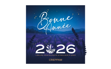 Sans titre (Publicité Facebook)