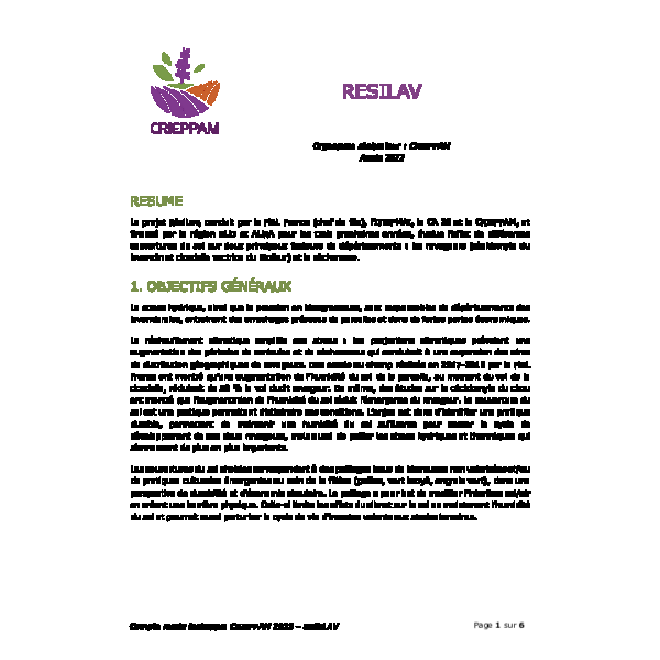 CR 2023 - DIVERSIFICATION