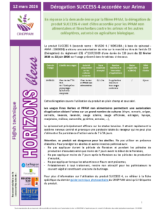Flash Horizons bleus du 12 mars 2026 - Dérogation du SUCCESS 4
