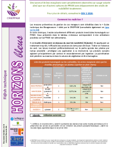 Flash Horizons bleus du 31 mars 2026 - Arima marginata