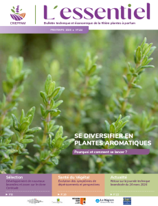 L’Essentiel n°124