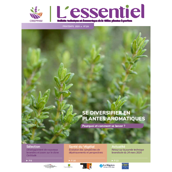 L’Essentiel n°124