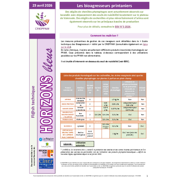 Flash Horizons bleus du 23 avril 2026 - Chenilles phytophages, cochenilles et Arima