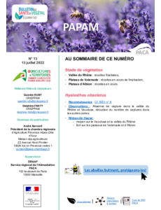 BSV PAPAM 2022 n°13