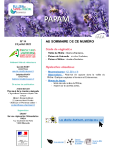 BSV PAPAM 2022 n°14