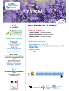 BSV PAPAM 2022 n°15