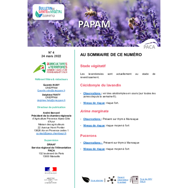 BSV PAPAM 2022 n°4