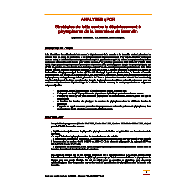 Analyses qPCR - stratégies de lutte contre le déperissement à phytoplasme de la lavande et du lavandin