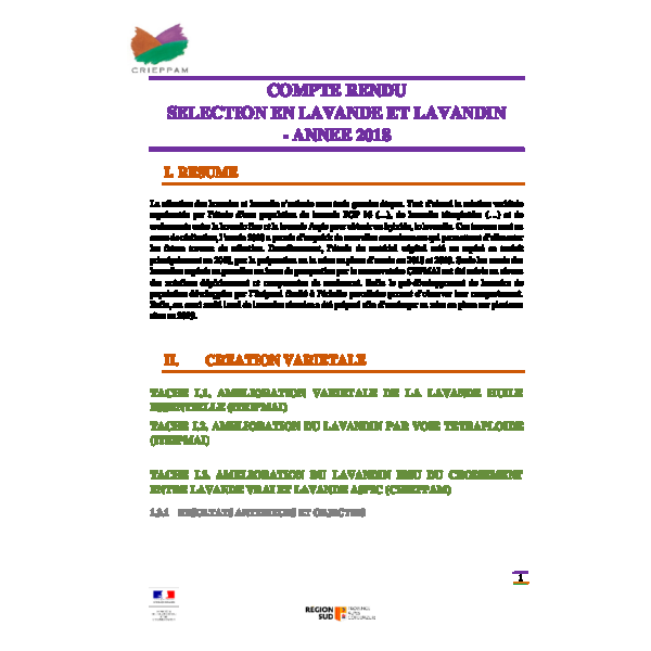 Sélection lavandes et lavandins