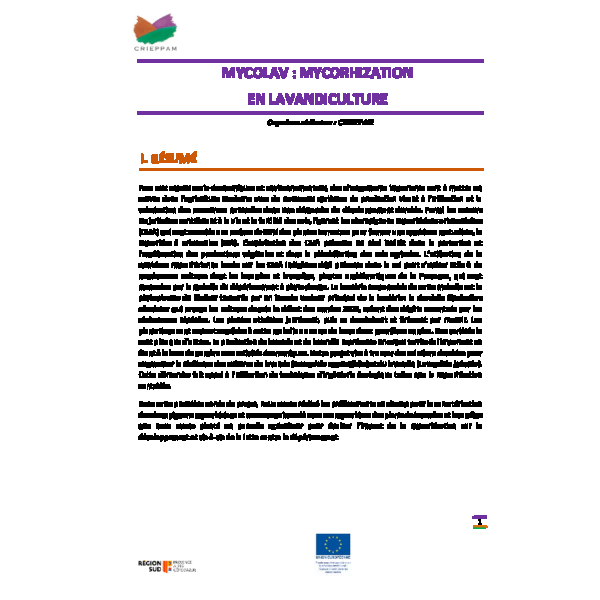 Mycolav - Mycorhization en lavandiculture