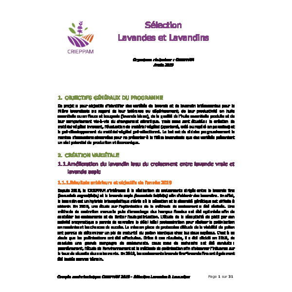 Sélection lavandes et lavandins