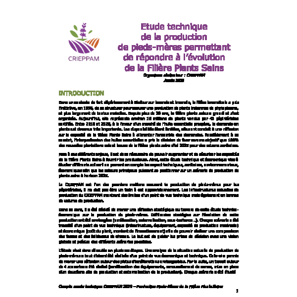 Etude technique de la production de pieds-mères permettant de répondre à l’évolution de la Filière Plants Sains