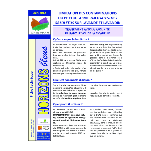 Fiche "Limitation des contaminations du phytoplasme par Hyaltesthes obsoletus sur lavande et lavandin"