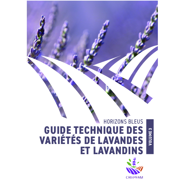 Guide technique des variétés de lavandes et de lavandins