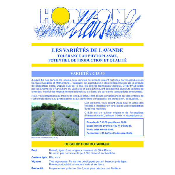 Fiche "Lavande clonale C15/50"