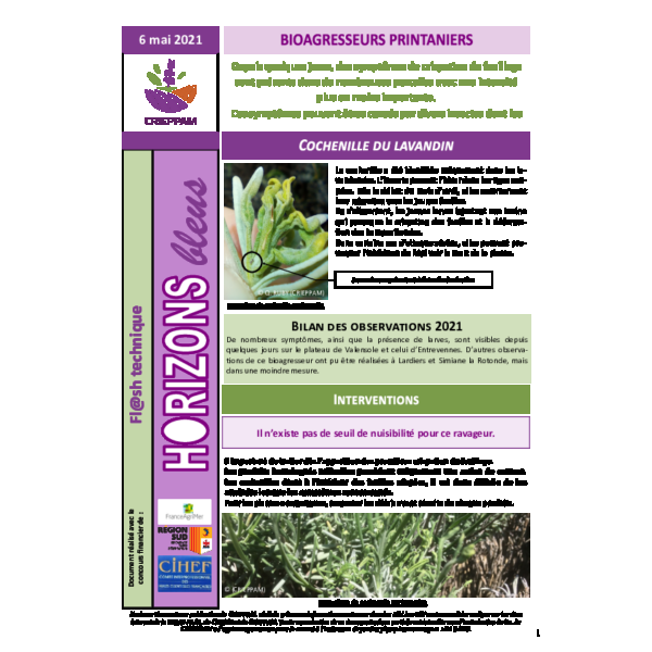 Bioagresseurs printaniers