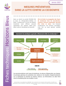 Fiche Mesures préventives dans la lutte contre la cécidomyie