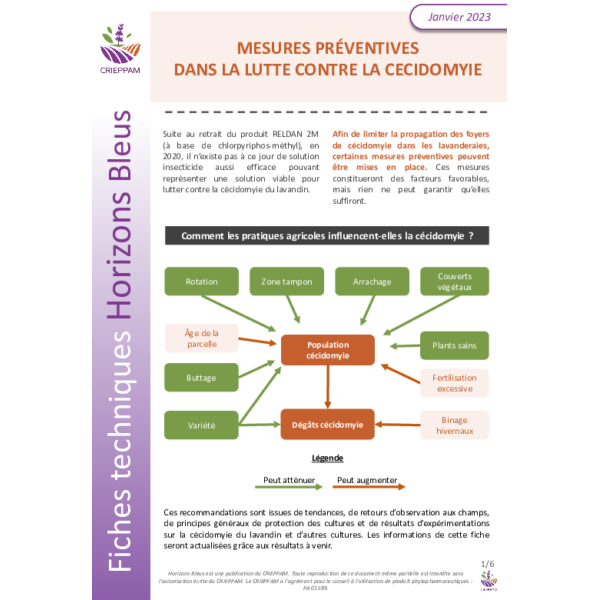 Fiche Mesures préventives dans la lutte contre la cécidomyie