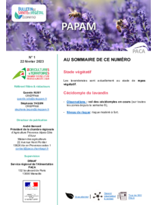 BSV PAPAM 2023 n°1