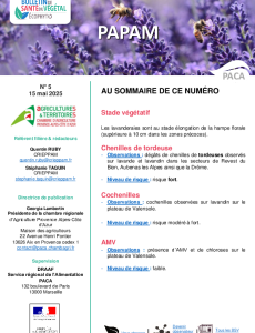 BSV PAPAM 2025 n°5