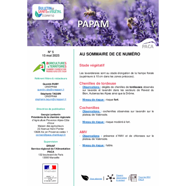 BSV PAPAM 2025 n°5