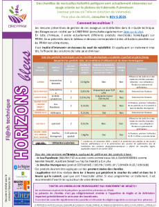Flash Horizons bleus du 3 juin 2025 - Chenilles de noctuelle peltigère