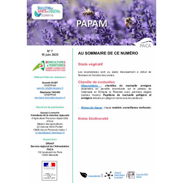 BSV PAPAM 2025 n°7