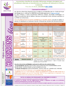 Flash Horizons bleus du 19 juin 2025 - Chenilles de noctuelle