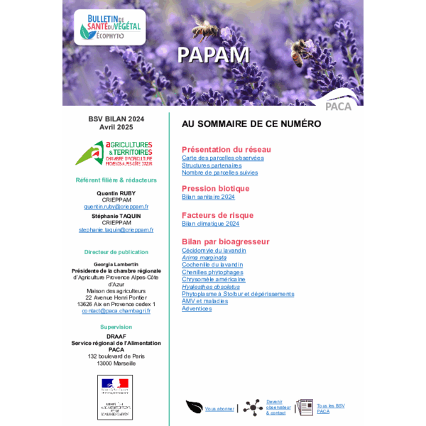 BSV BILAN 2024