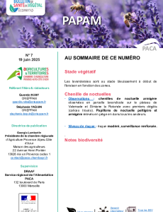 BSV PAPAM 2025 n°8