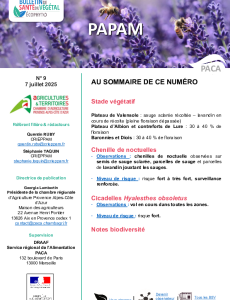 BSV PAPAM 2025 n°9