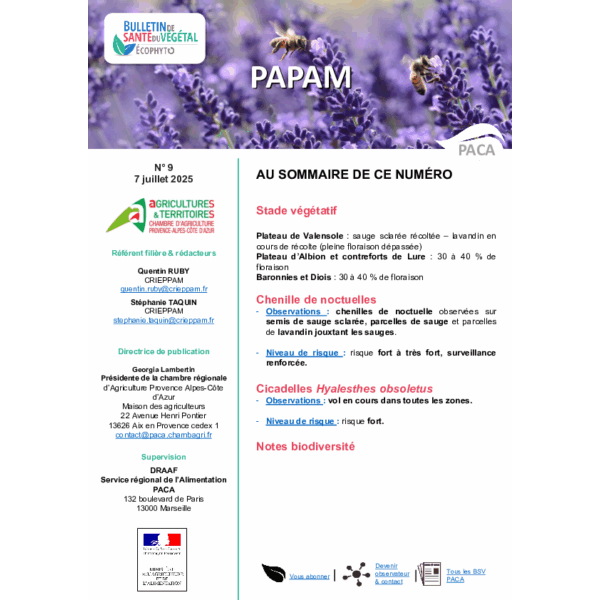 BSV PAPAM 2025 n°9