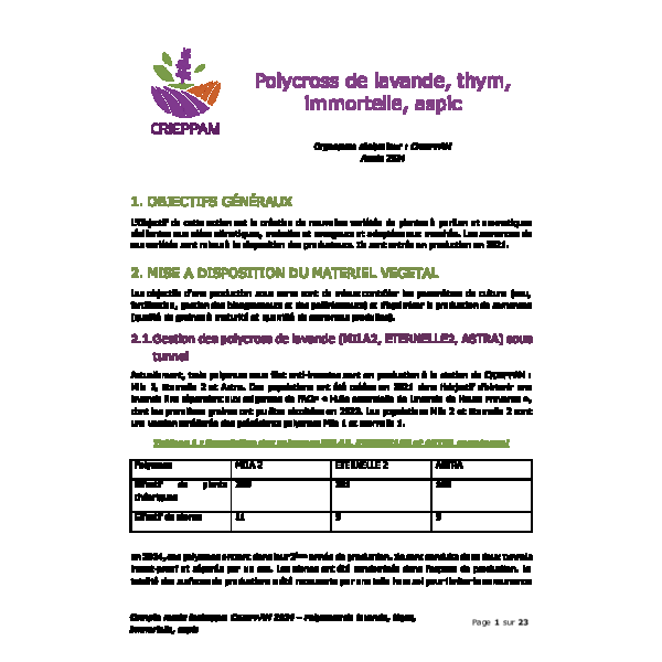 Polycross de lavande, thym, immortelle, aspic