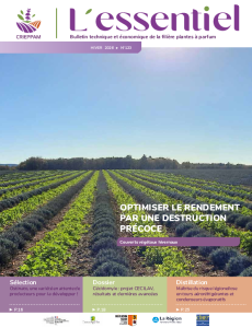 L’Essentiel n°123