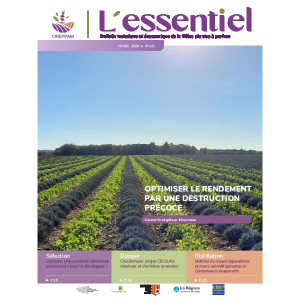L’Essentiel n°123