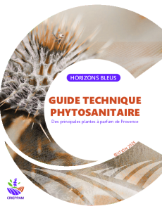 Guide technique phytosanitaire des principales plantes à parfum de Provence