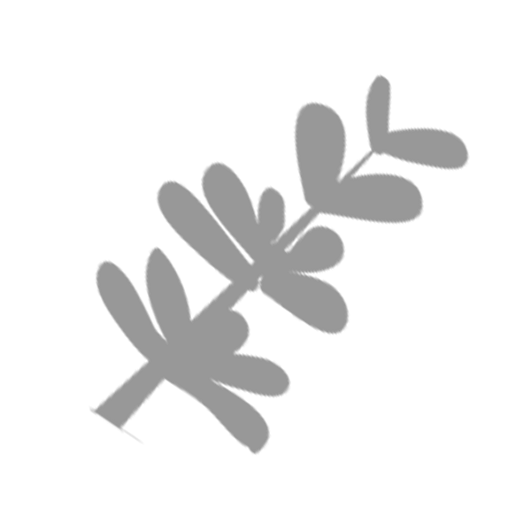 Logo-CRIEPPAM_web